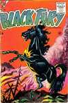 Black Fury comic books